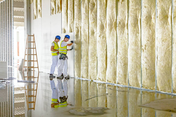 Best Insulation Replacement Services  in Mystic Island, NJ